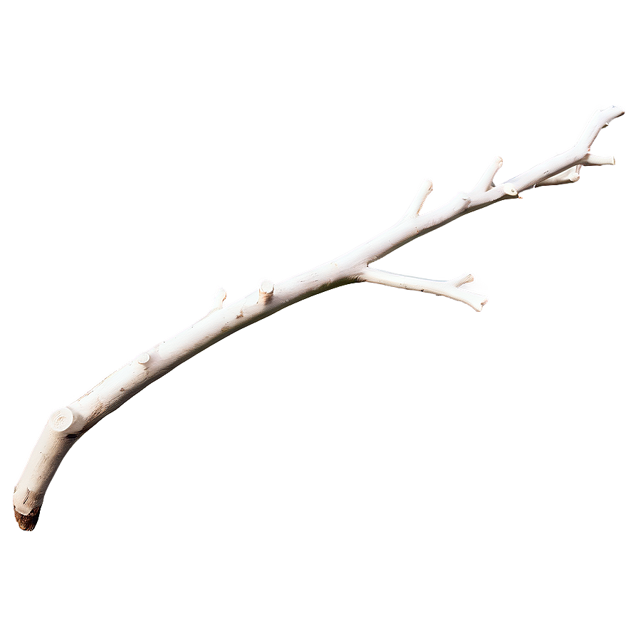 Minimalist Twig Png 77