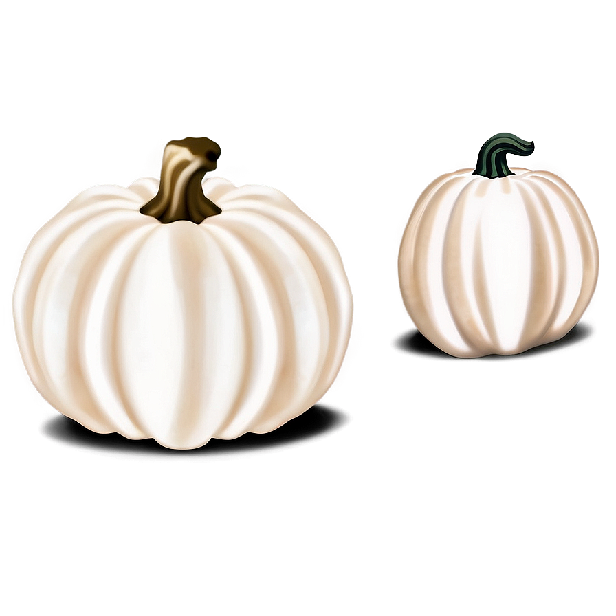 Minimalist White Pumpkin Png 06212024