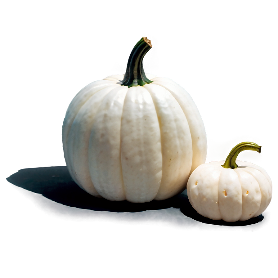 Minimalist White Pumpkin Png 06212024