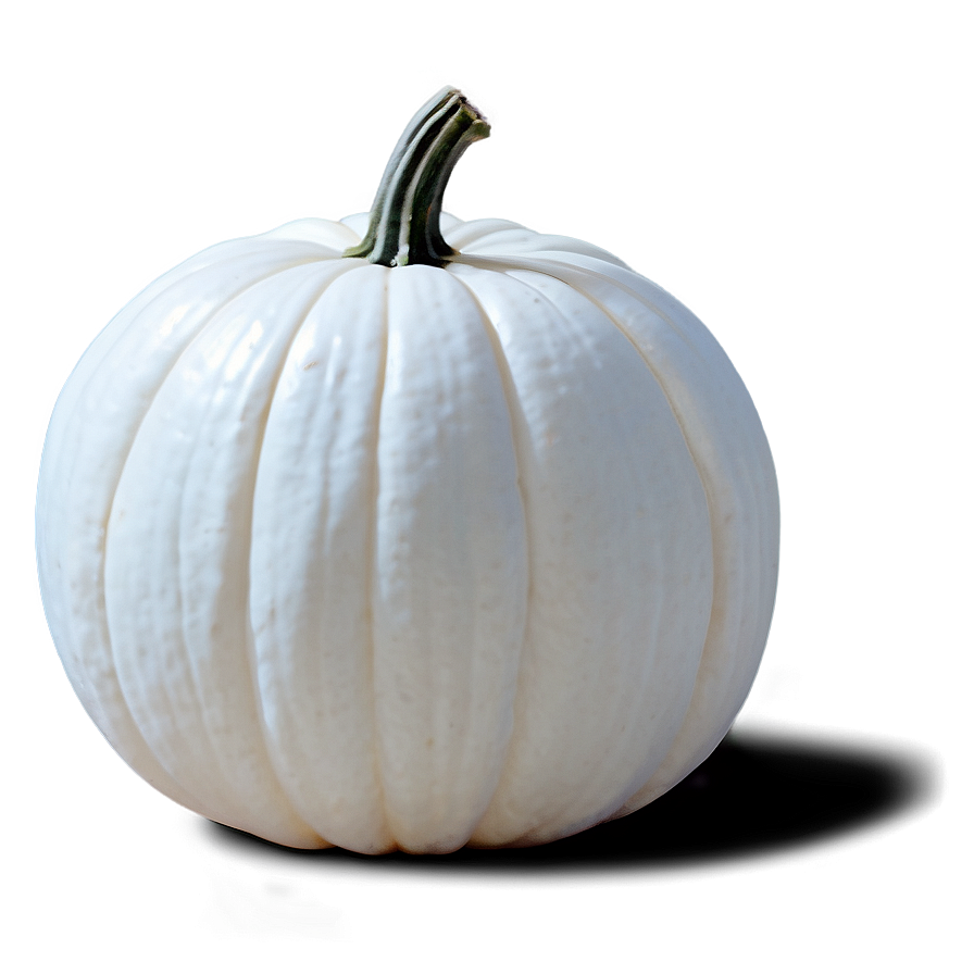 Minimalist White Pumpkin Png 87