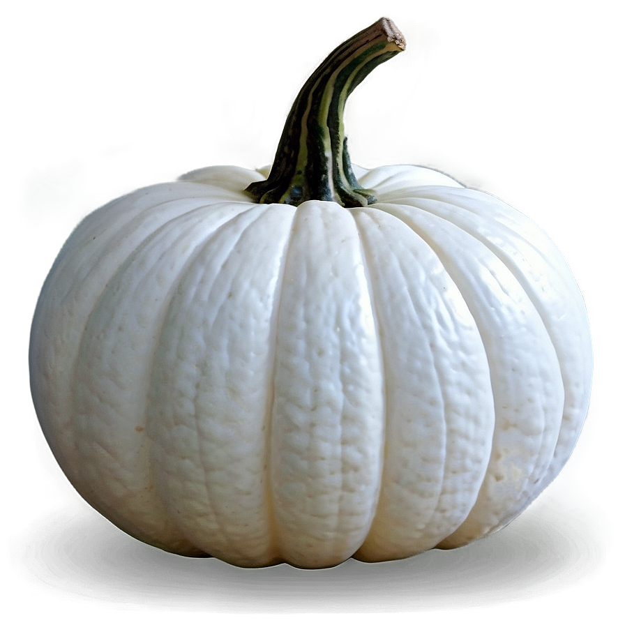 Minimalist White Pumpkin Png Hsu