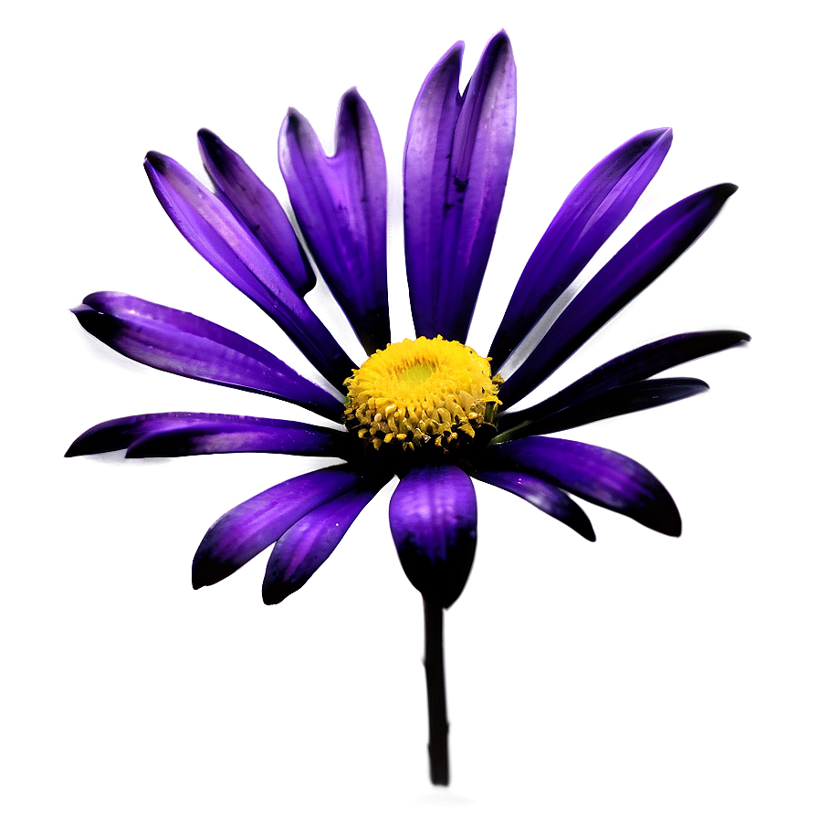 Minimalistic Flower Png Kmr