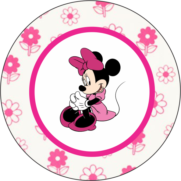 Minnie Mouse Pink Floral Design