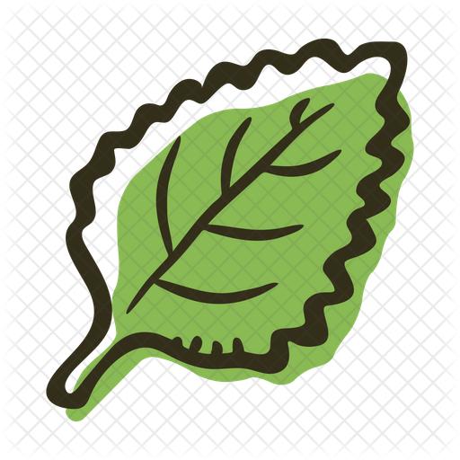 Mint Leaf Illustration PNG with transparent background