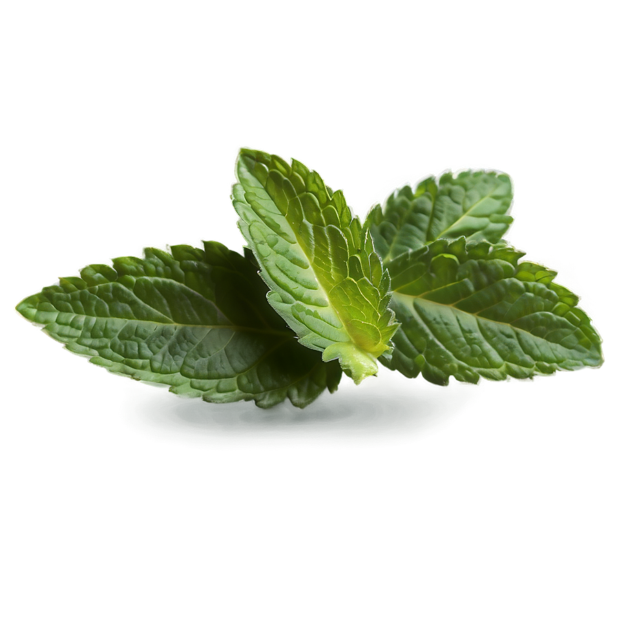 Mint Leaves Clipart Png 92