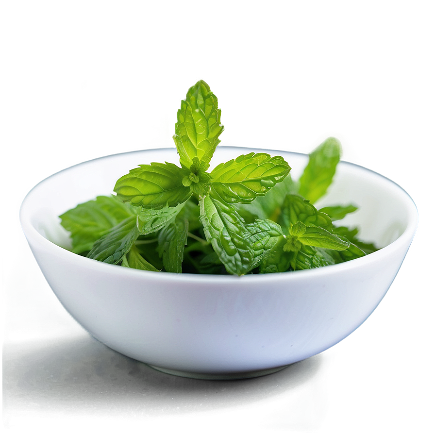 Mint Leaves Infusion Png Kkj85