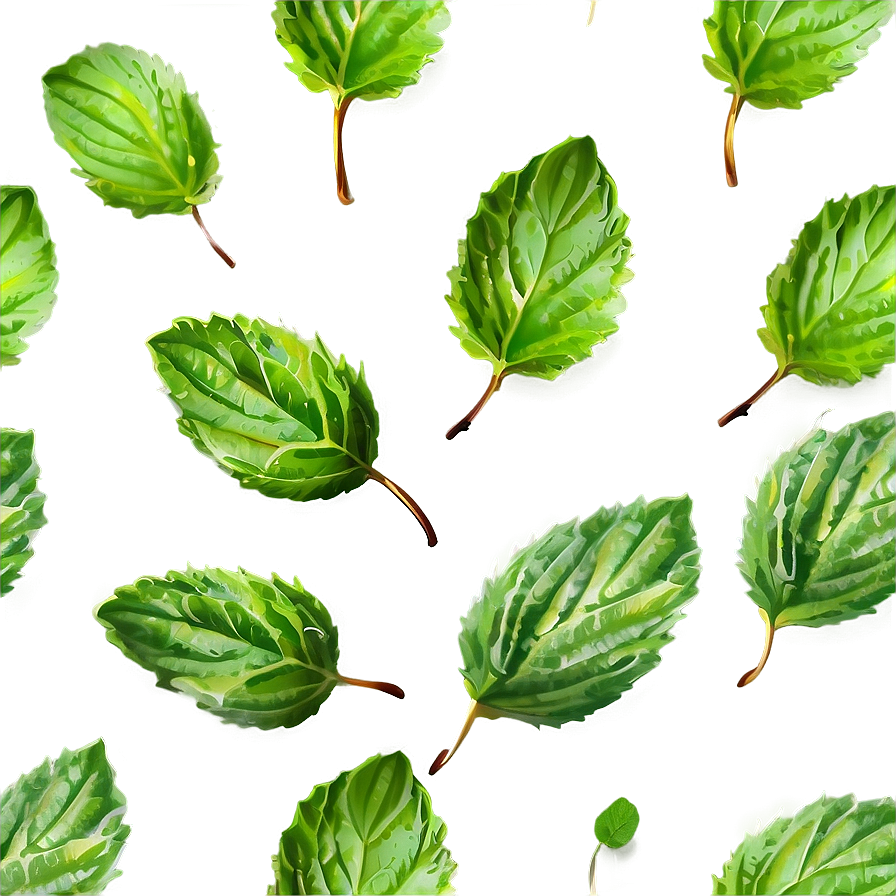 Mint Leaves Vector Png Ope