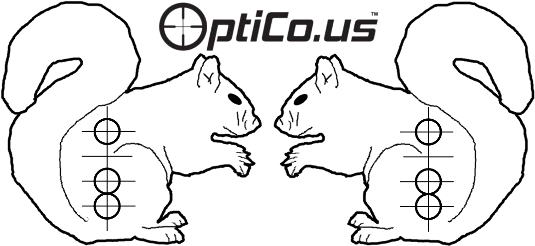 Mirrored Squirrels Optical Alignment PNG with transparent background