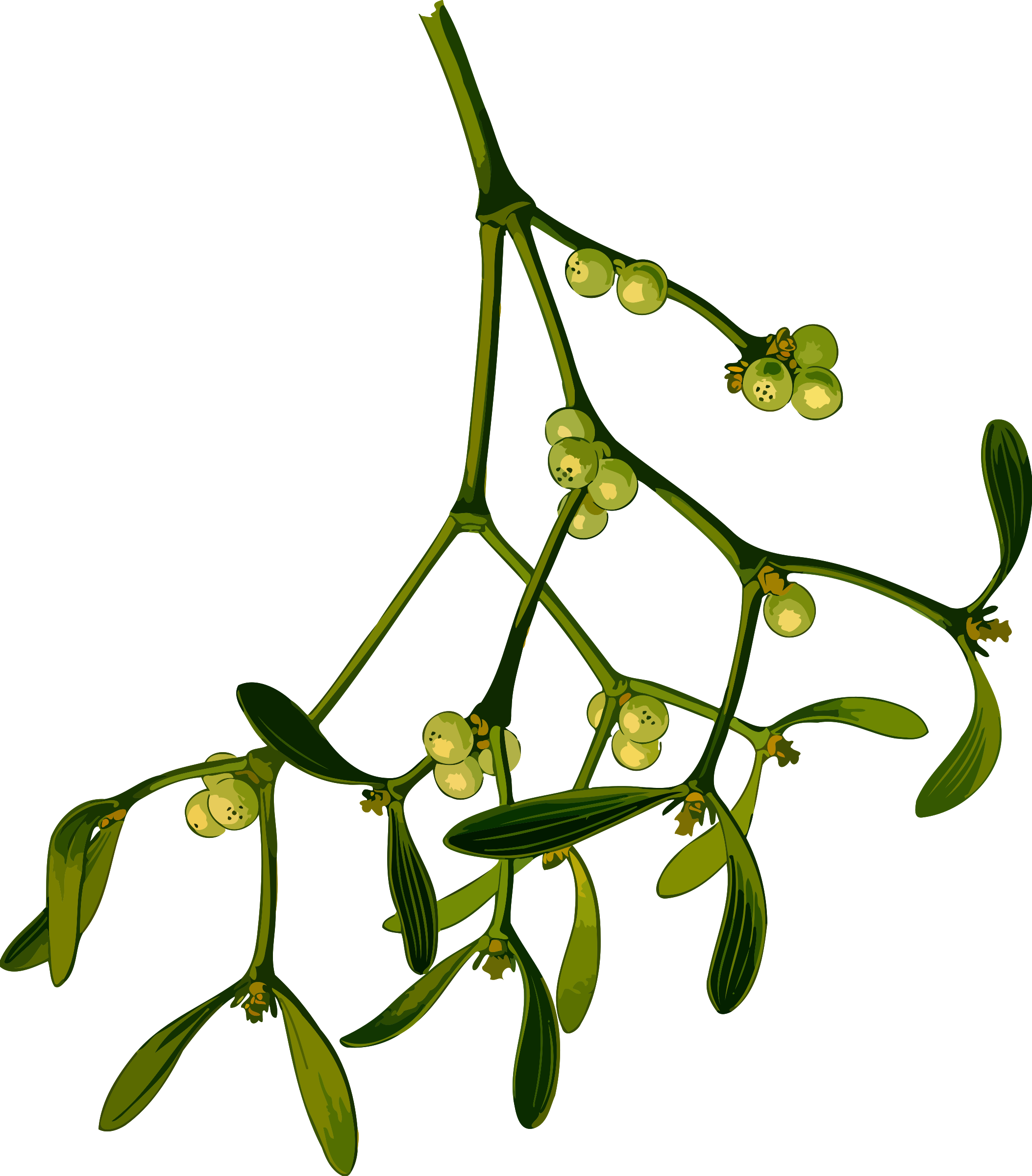 Christmas Mistletoe Computer Icons Vintage Christmas - Clipart Mistletoe PNG with transparent background