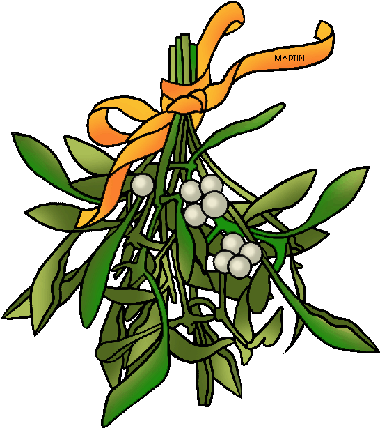 Mistletoe Bunch With Orange Ribbon