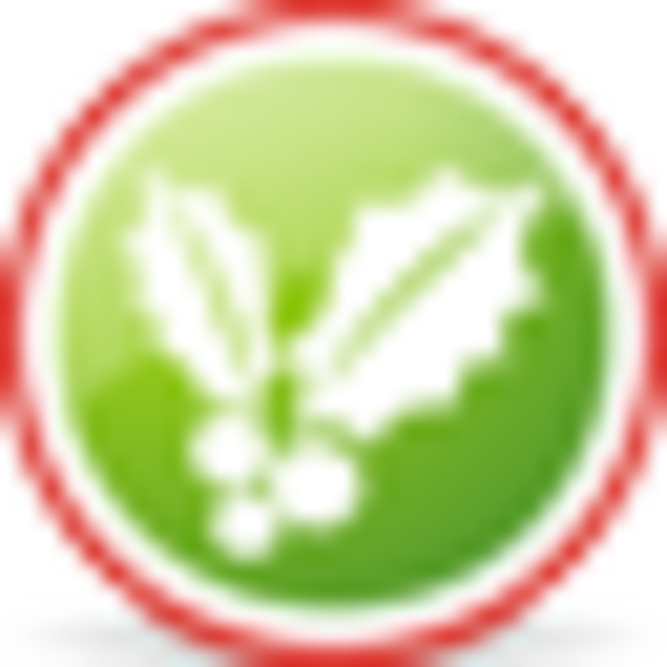 Christmas Mistletoe PNG with transparent background