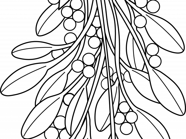 Christmas Coloring Pages Black And White With Mistletoe - Mistletoe Line Art PNG with transparent background