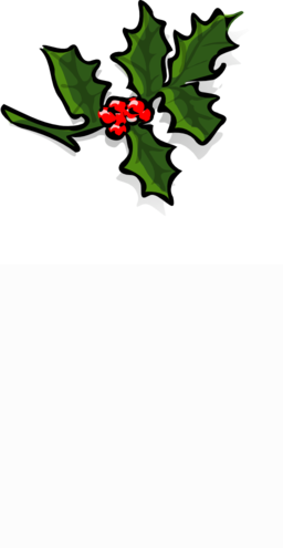 Holly - Christmas,mistletoe Twig Curtains PNG with transparent background