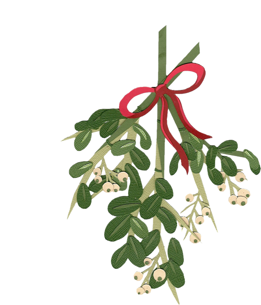 Mistletoe With Red Ribbon