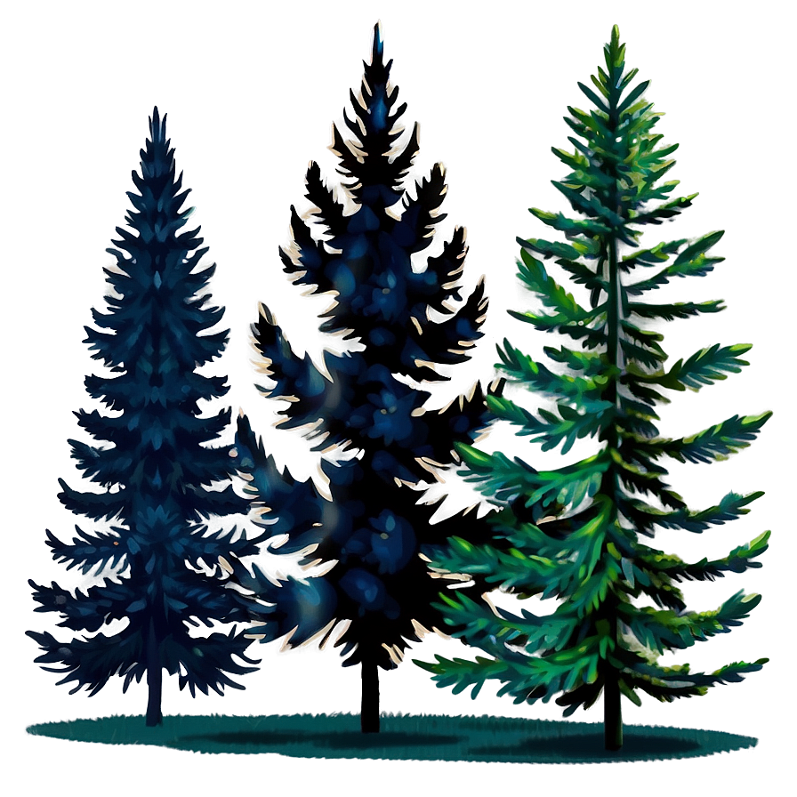 Misty Fir Forest Clipart Png Xhr