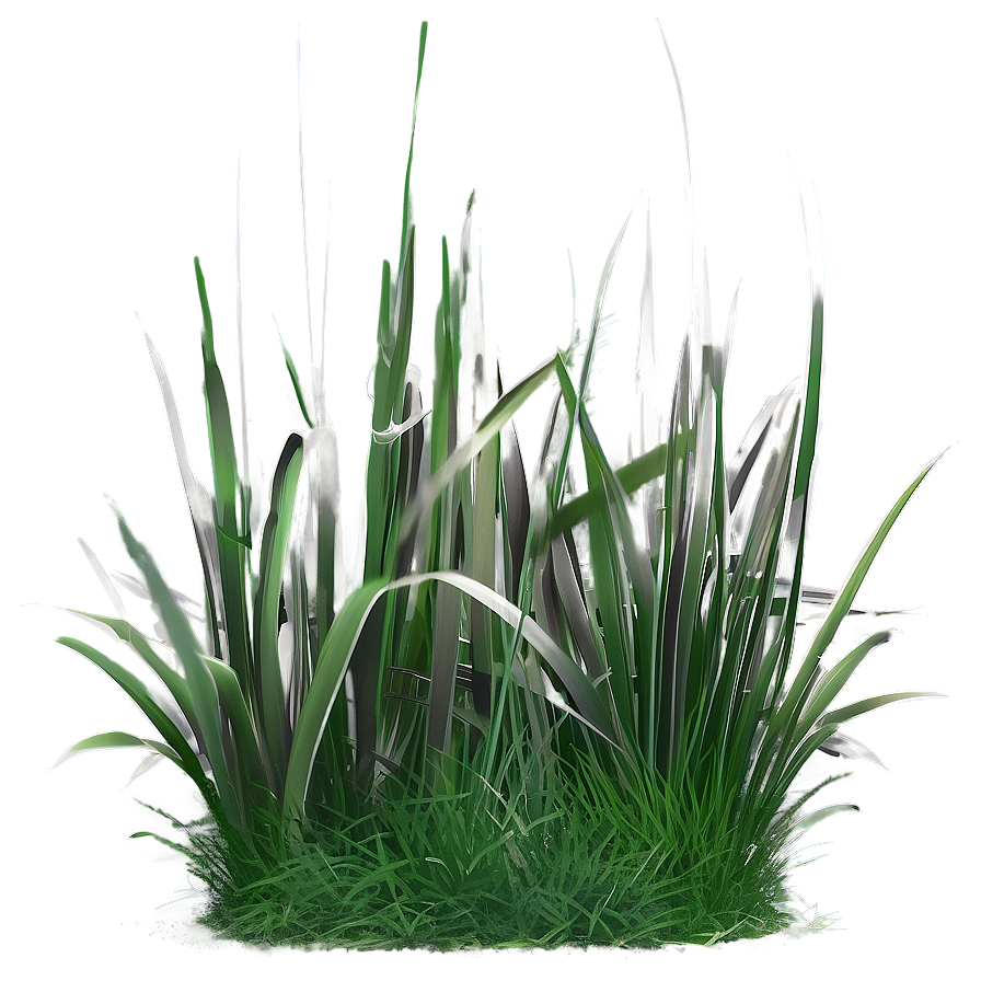 Misty Morning Grass Png 45