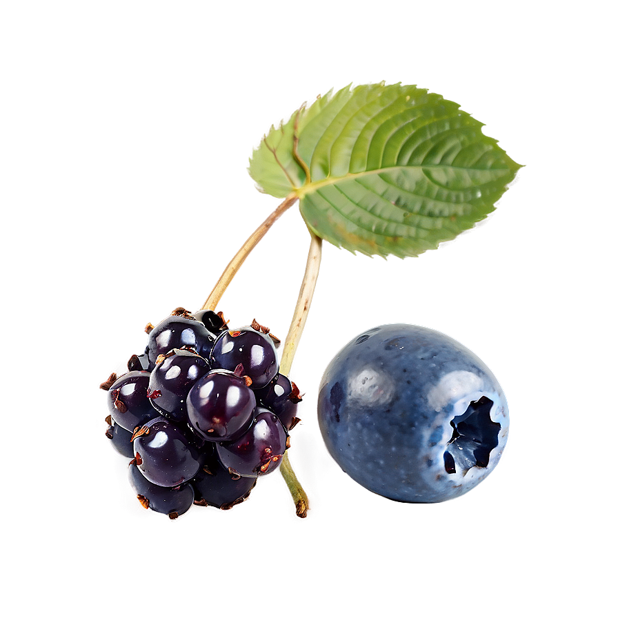 Mixed Berries Collection PNG nrt23 PNG with transparent background