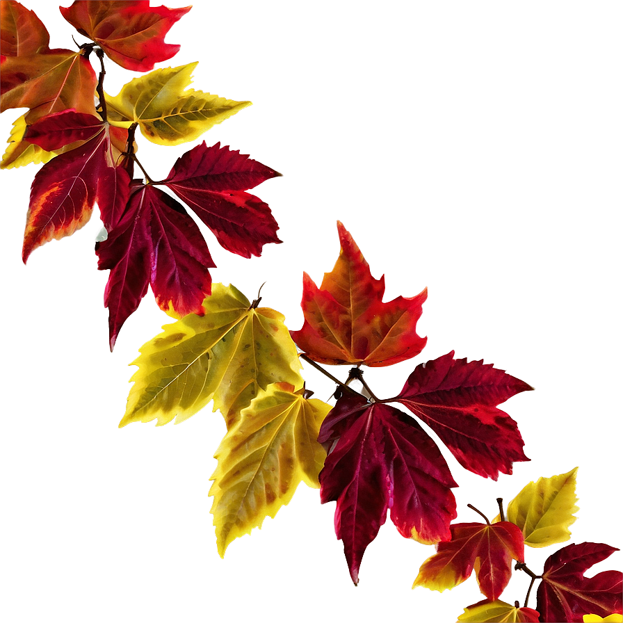 Mixed Fall Leaves Png Bkb14