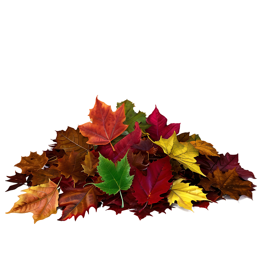 Mixed Fallen Leaves Heap Png 48