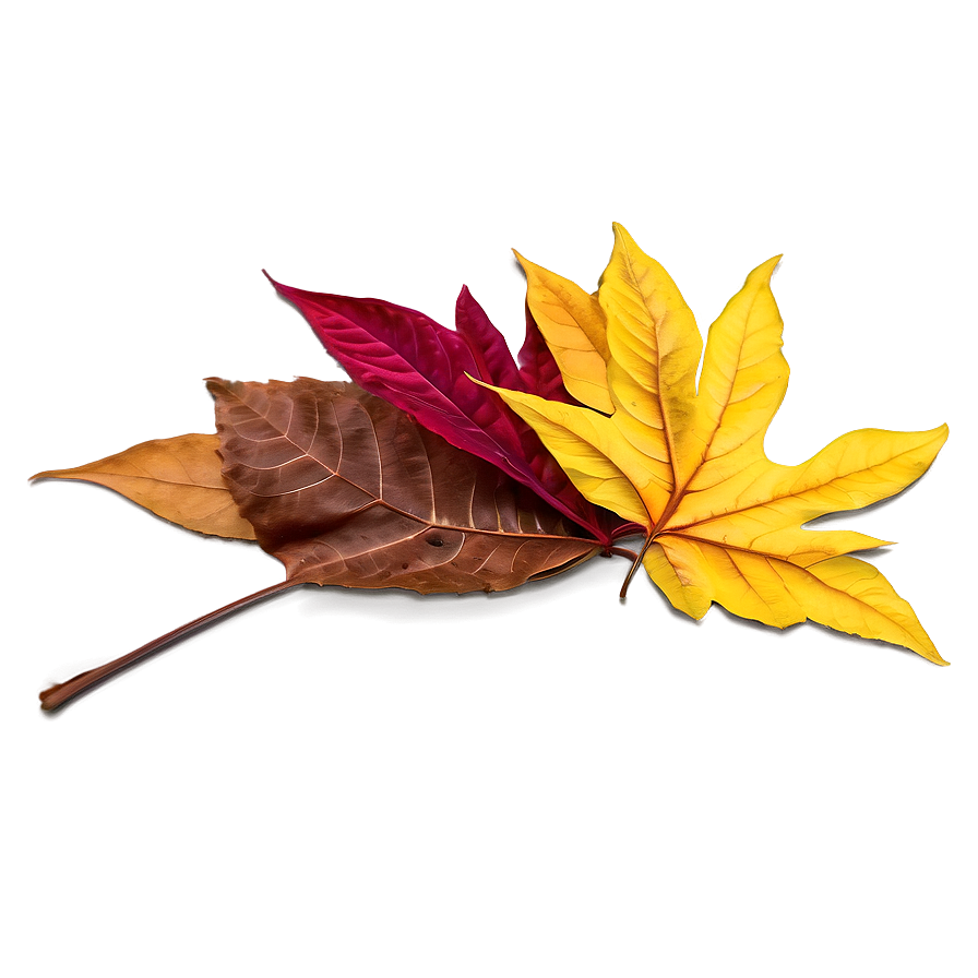 Mixed Fallen Leaves Heap Png 94