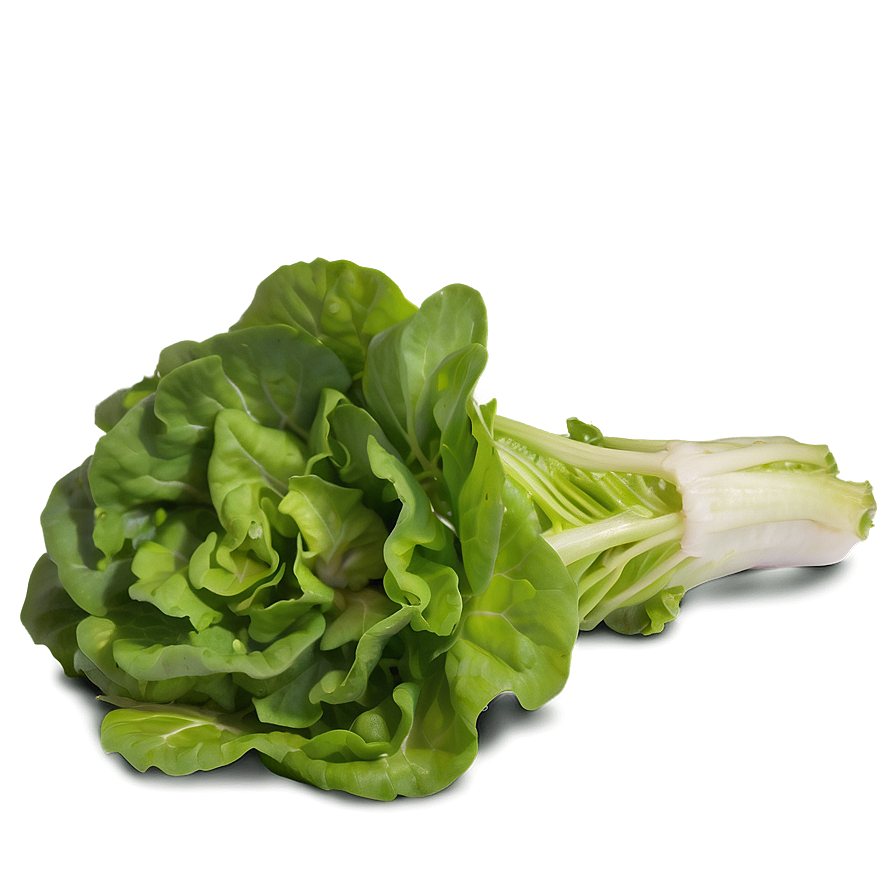 Mixed Lettuce Png 05242024