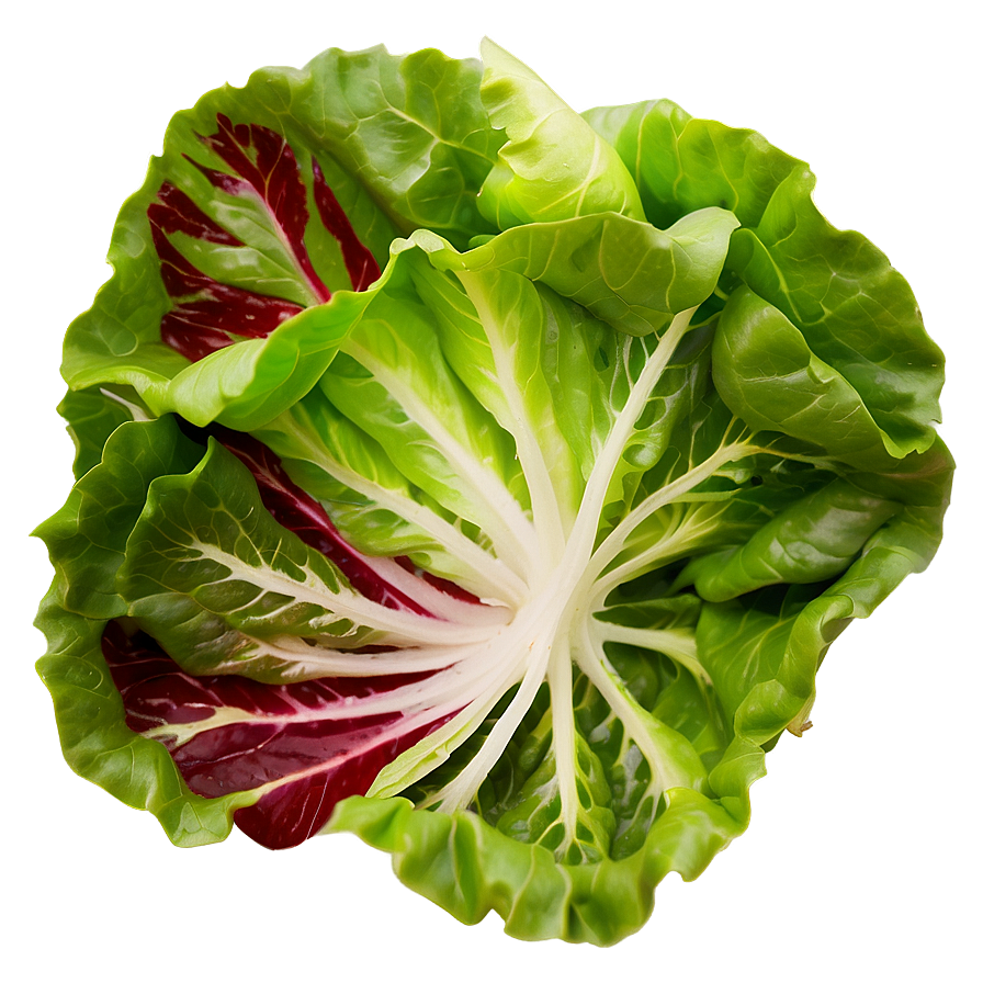 Mixed Lettuce Png 05242024