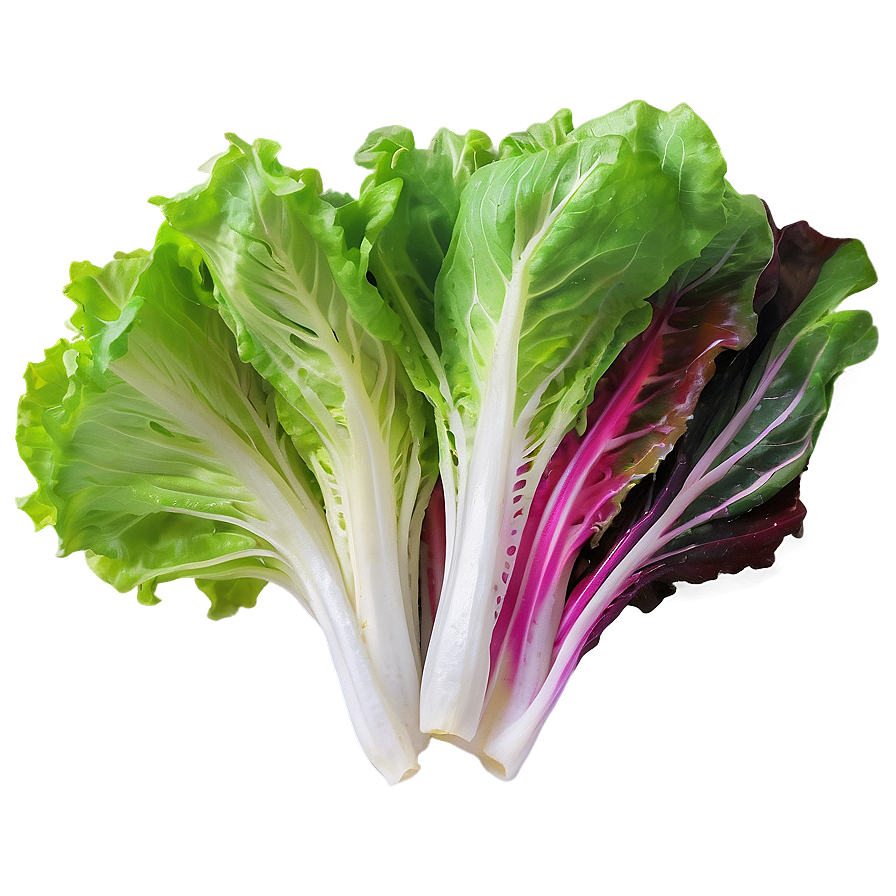 Mixed Lettuce Png Yae41