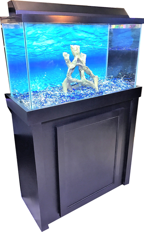 Modern Aquariumwith Decorative Wood