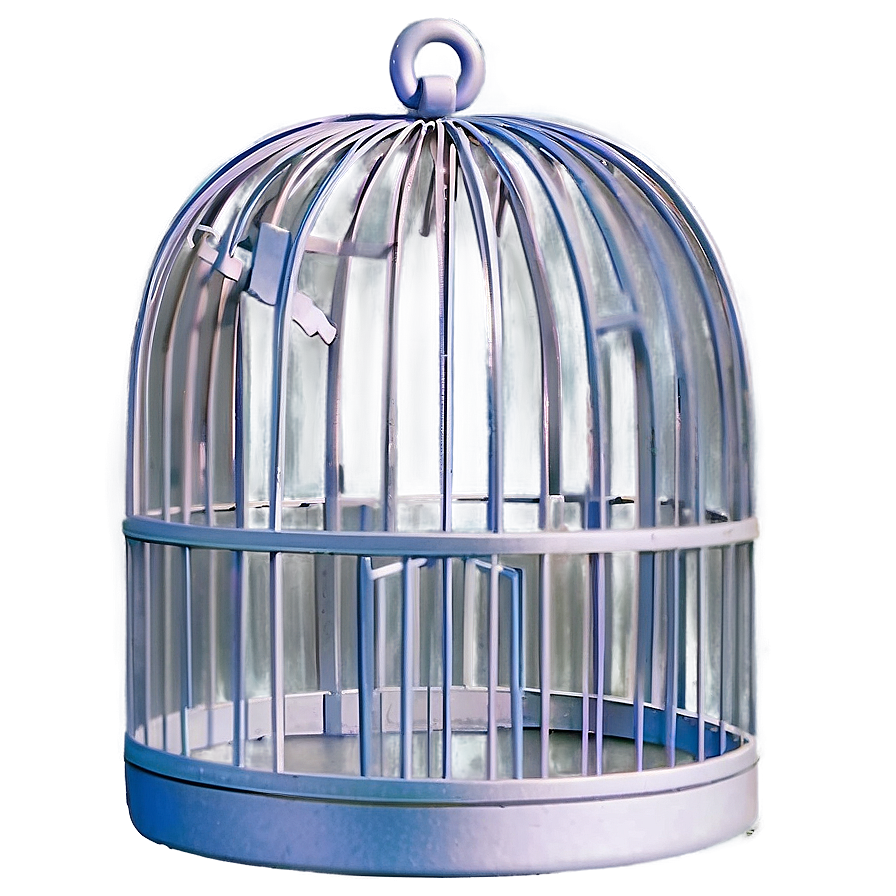 Modern Birdcage Art Png 06122024