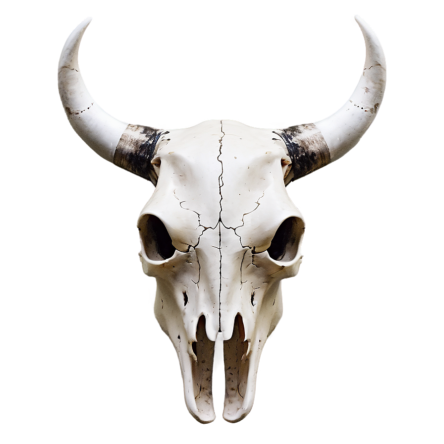 Modern Cow Skull Artwork Png 27