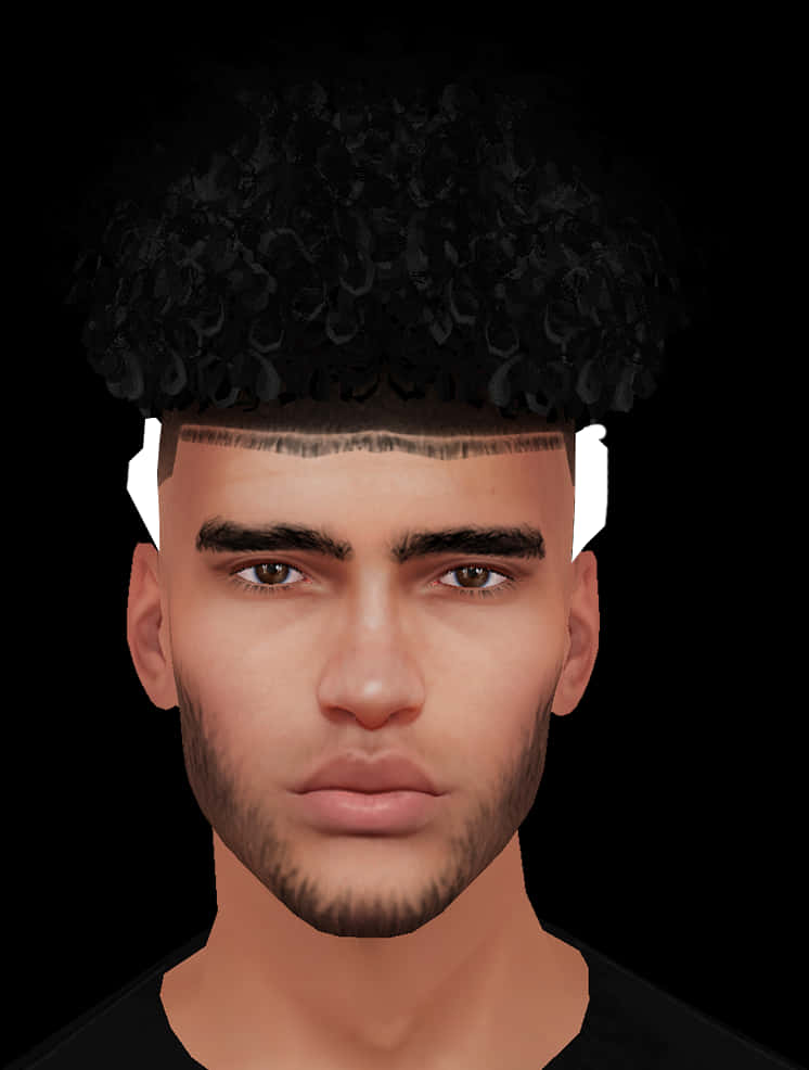 Modern Curly Top Fade Hairstyle