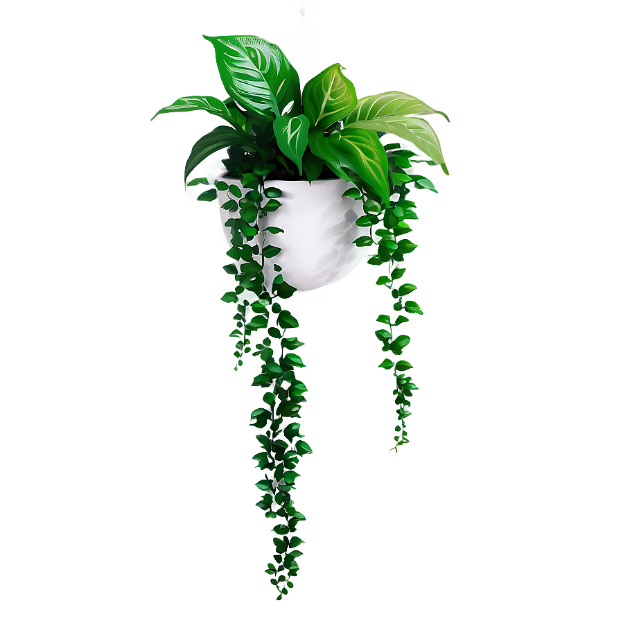 Modern Hanging Plant Png 05252024