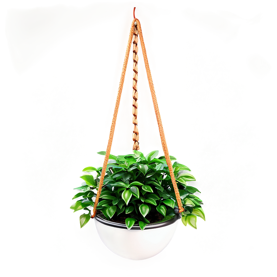 Modern Hanging Plant Png 80