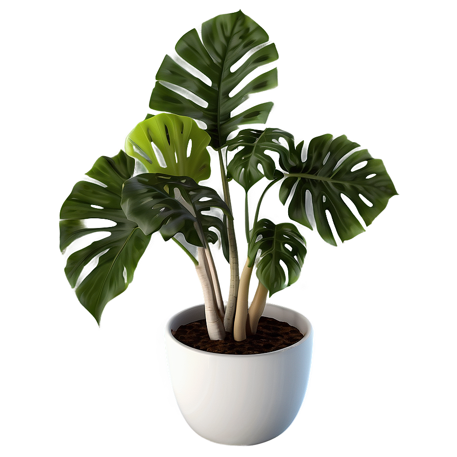 Modern Potted Plants Png 42