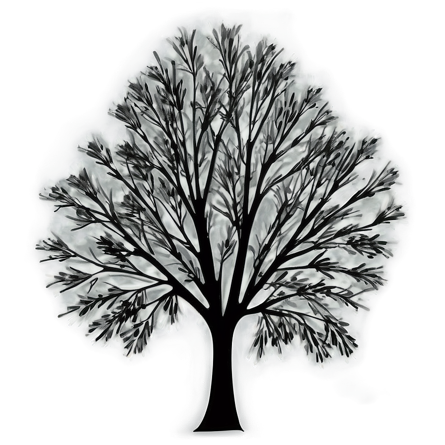 Modern Tree Silhouette Png Byx