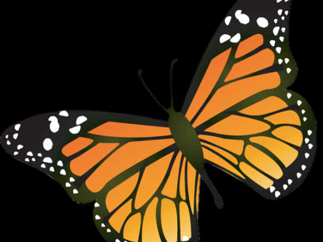 Monarch Butterfly Illustration PNG image with a transparent background, free high-resolution download