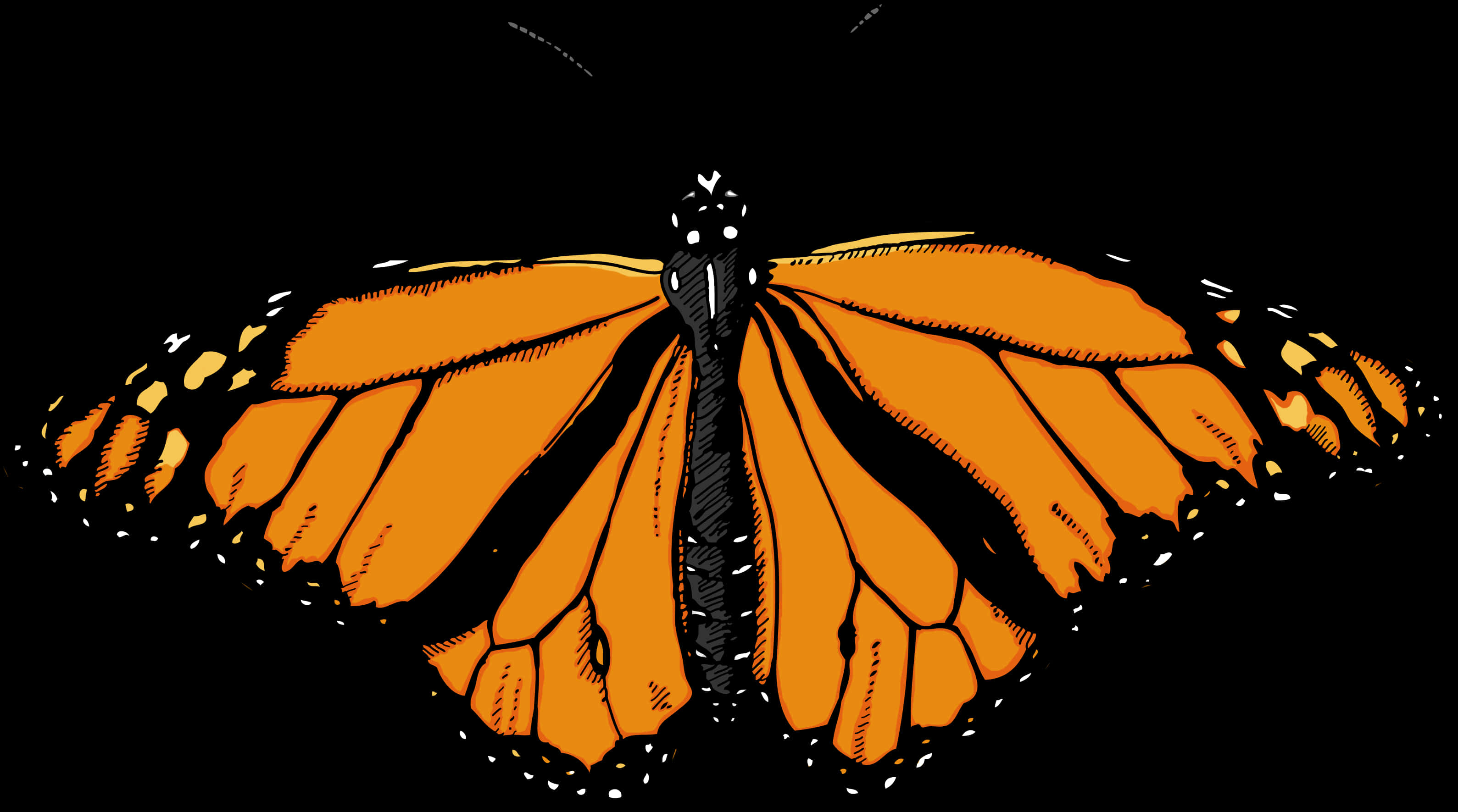 Monarch Butterfly Illustration 3178x1771 PNG image with a transparent background, free high-resolution download