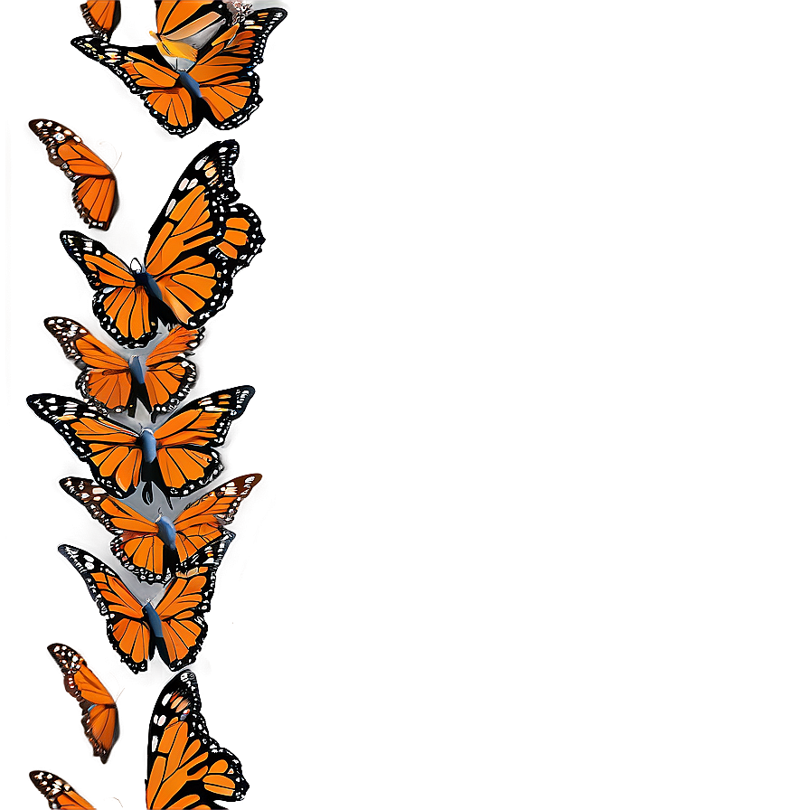 Monarch Butterfly Swarm Png 05252024