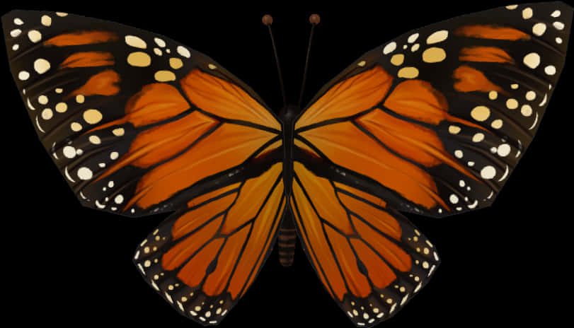 Monarch Butterfly Symmetry PNG image with a transparent background, free high-resolution download