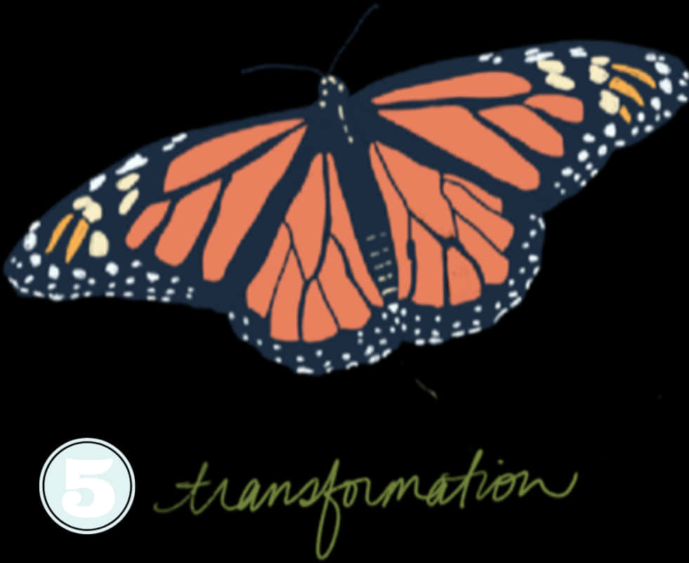 Monarch Butterfly Transformation PNG with transparent background