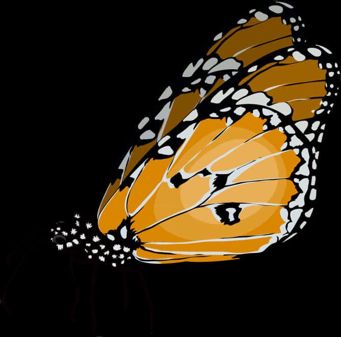 Monarch Butterfly Vector Art