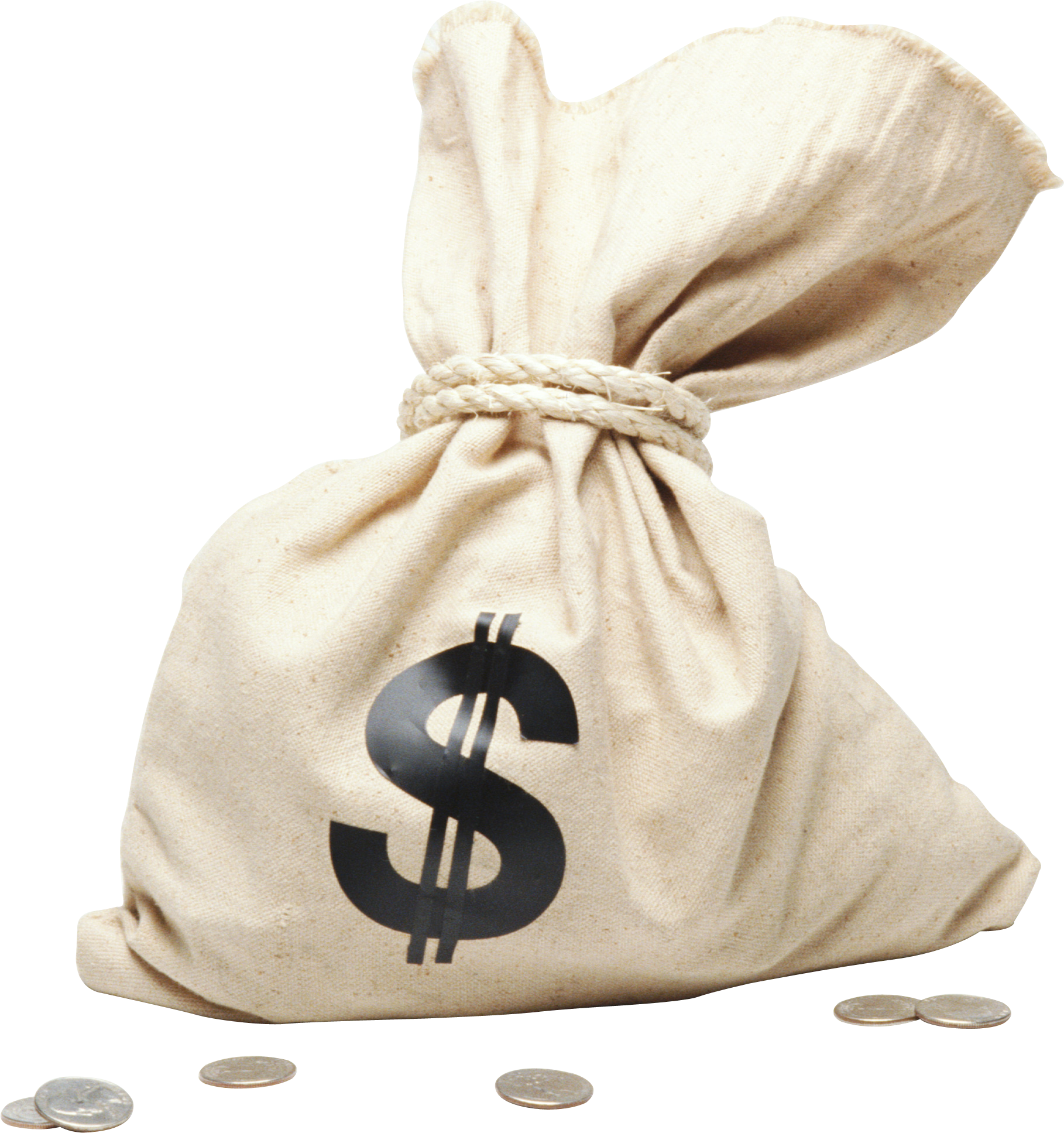 Money Bag Vector Illustration