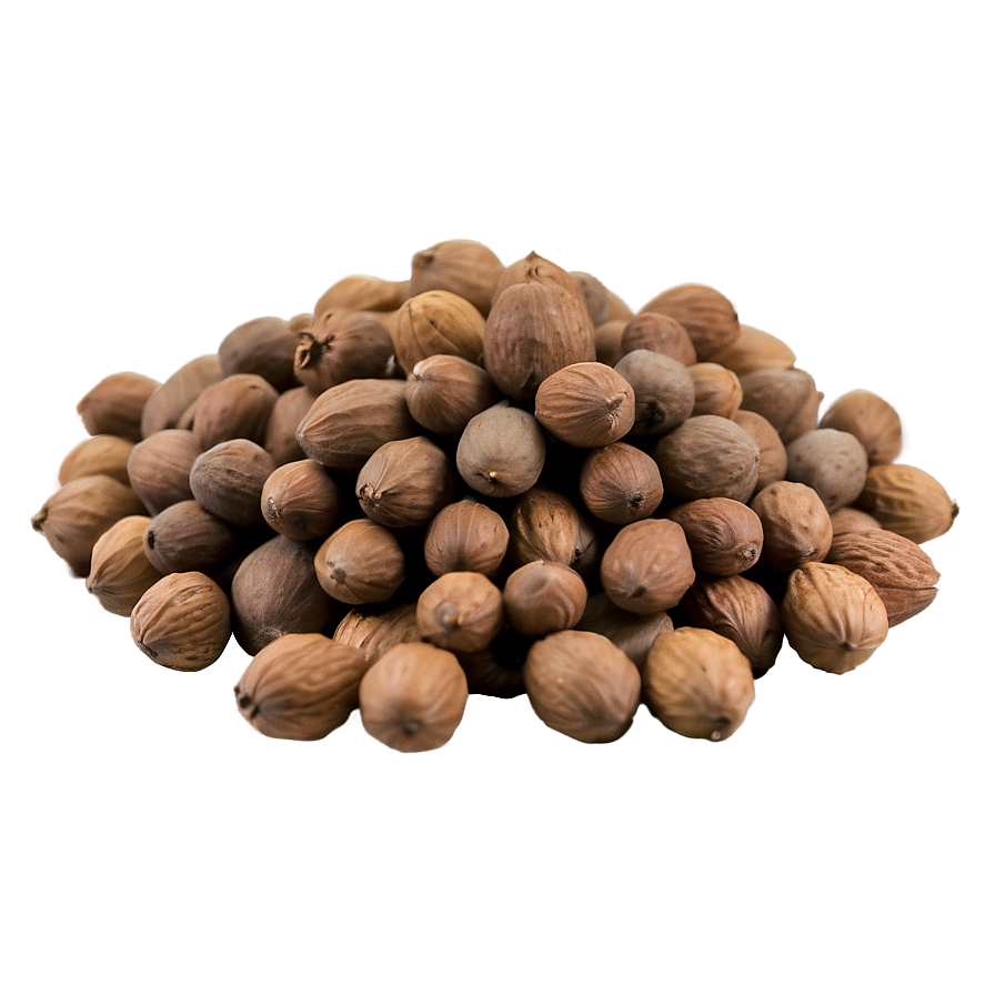 Mongongo Nut Png Okp20