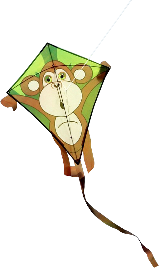 Monkey Design Kite Flying