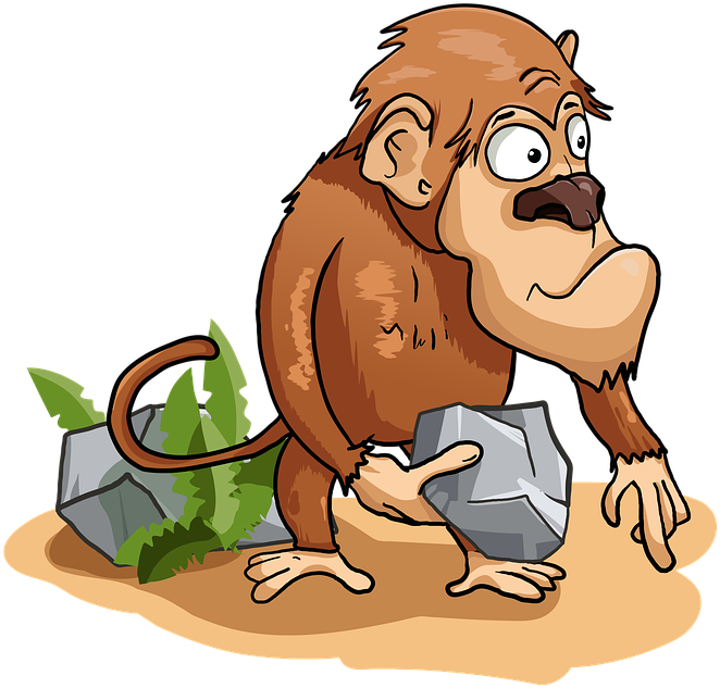 Monkey, HD Png Download PNG with transparent background
