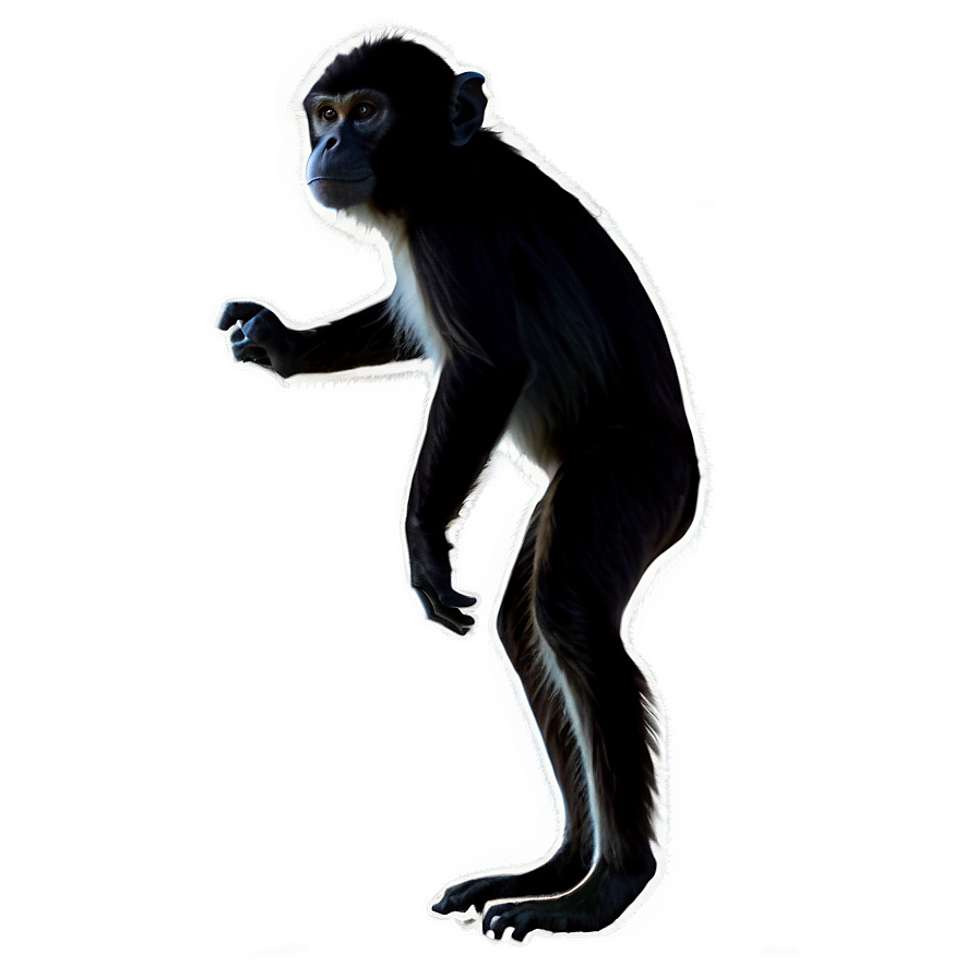 Monkey Silhouette Png 39