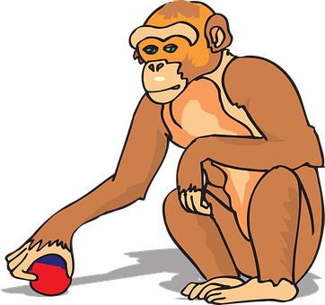 Monkey Touching Red Blue Ball