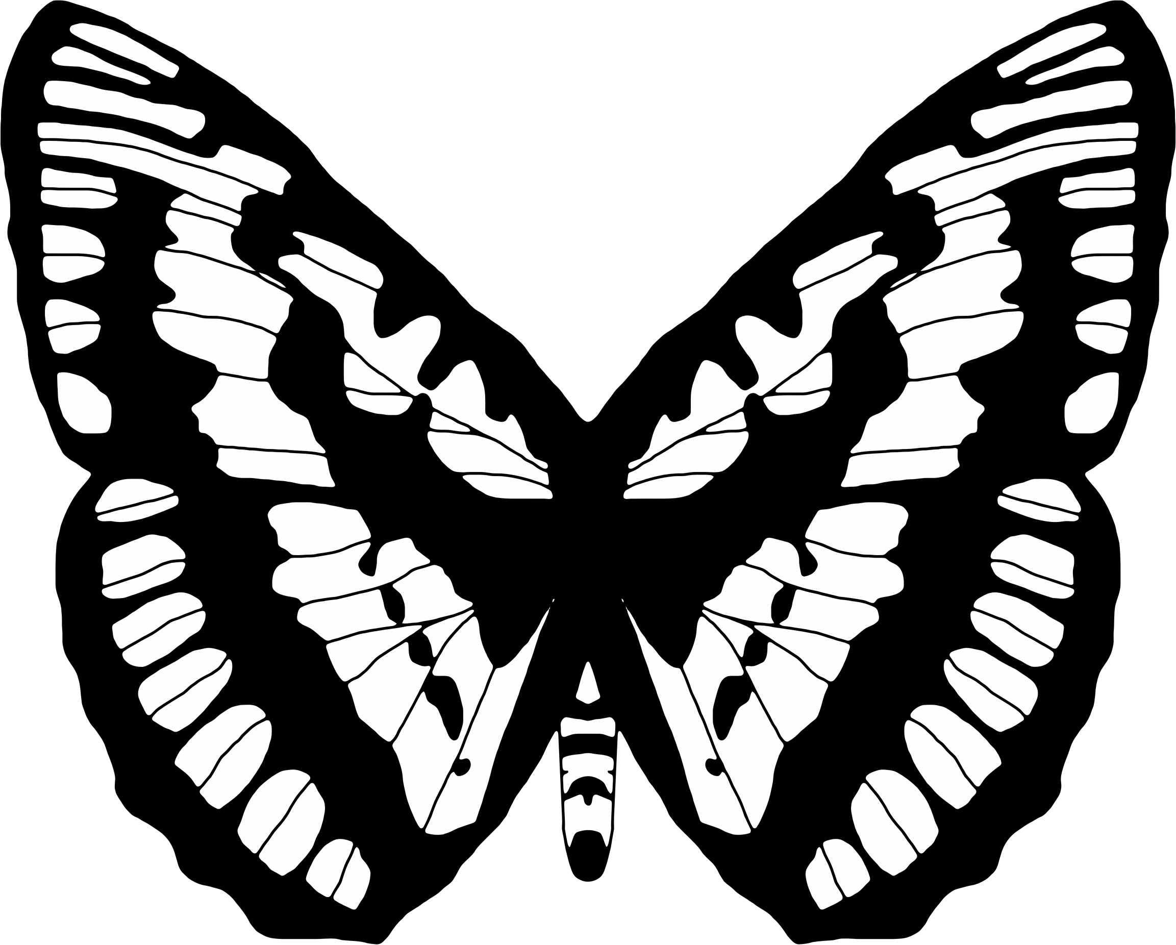 Monochrome Butterfly Illustration.png