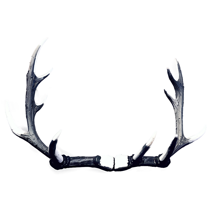 Monochrome Deer Antler Png 79