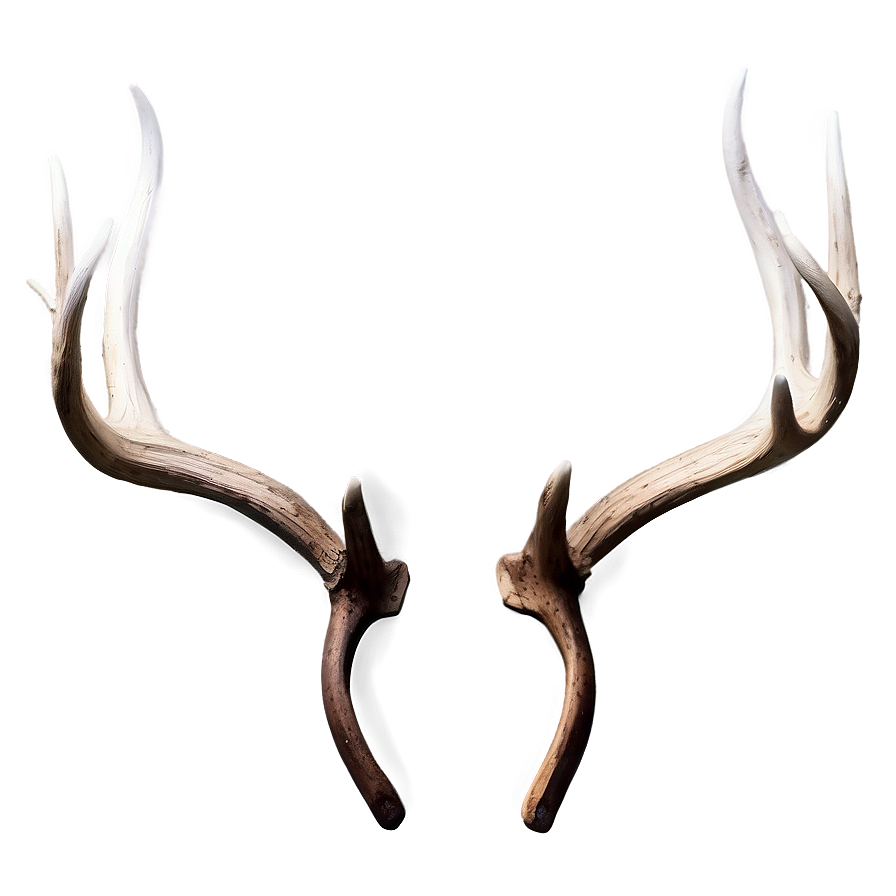 Monochrome Deer Antler Png Kpc